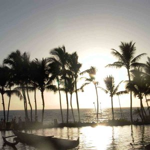 Hawaii~Maui Pictures 183.jpg