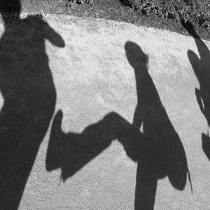 Shadow kicked in the ass.JPG