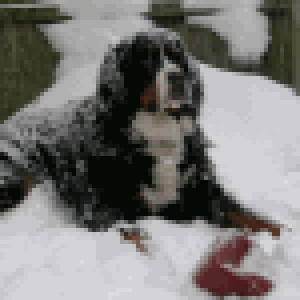 thumbnail.png
