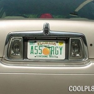 coolpl8z_a55-rgy.jpg
