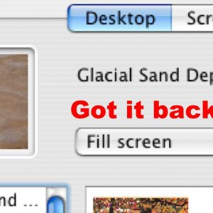back.jpg