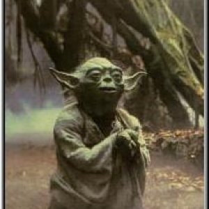 yoda-2.JPG