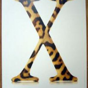 mac-os-x-jaguar-poster.jpg