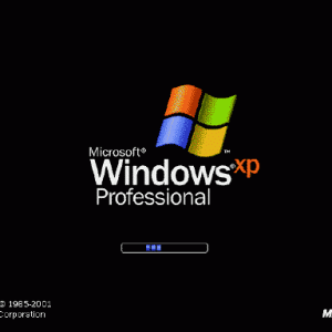 winxp-startup.gif