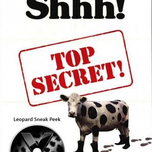 top_secret_ver2.jpg