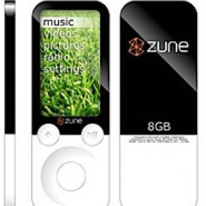 zune-flash.jpg