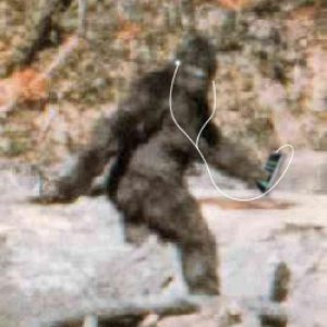 bigfoot.jpg