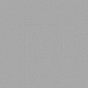 grey.gif