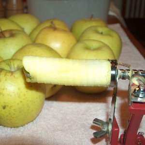 AppleCore-765046.jpg