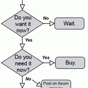 buynoworwaitflowchart.gif