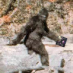 bigfoot copy.jpg