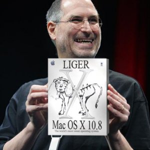 OS X Liger.jpg