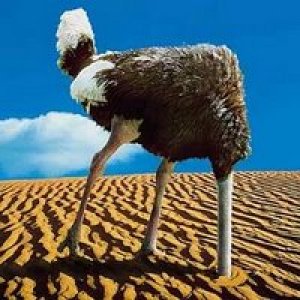 ostrich-head%20in%20sand-2.jpg