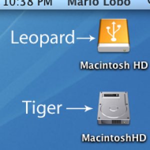 Leopard.jpg