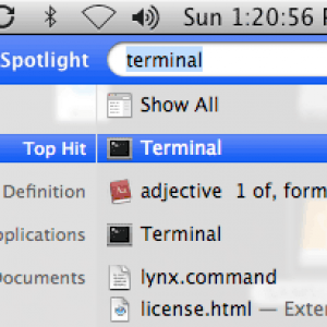 spotlight_terminal.png