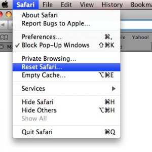 safari-shot.jpg