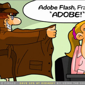 070226_adobe_flash_flasher.gif