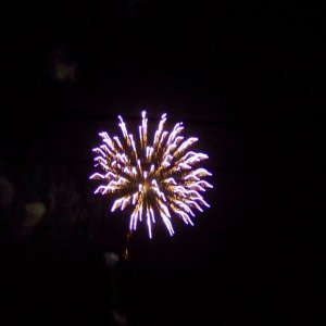 2008-07-05 008cor.jpg