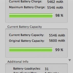 2battery.jpg