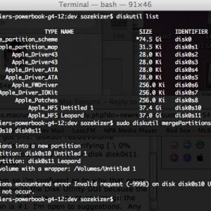 diskutilterminal1.jpg