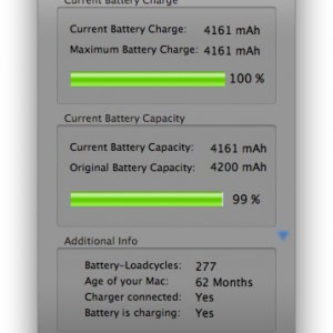 coconut battery stats.jpg