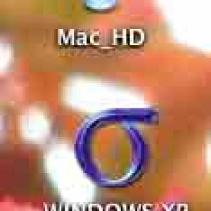 Disk-icons.jpg