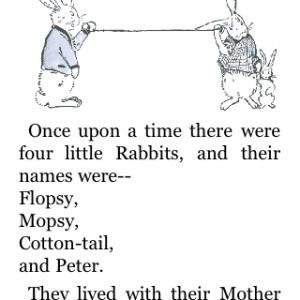 peterrabbit 001.png