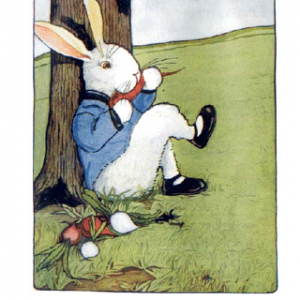 peterrabbit 003.png