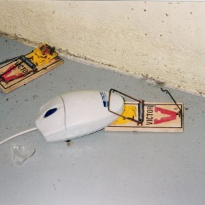 800px-computer_mouse_trap.jpg