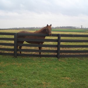 three chimneys farm.jpg