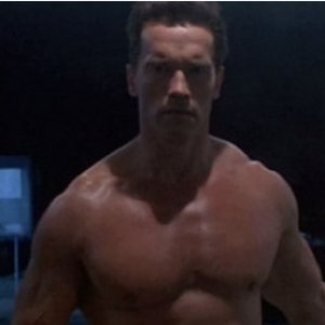 arnoldterminatortop.jpg