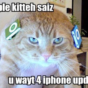 iphone_cat.JPG