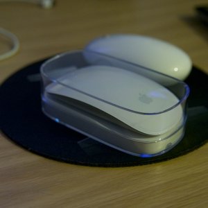 mouse1.jpg