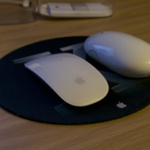 mouse2.jpg