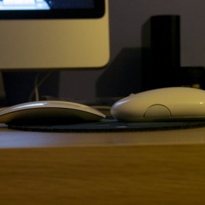 mouse3.jpg