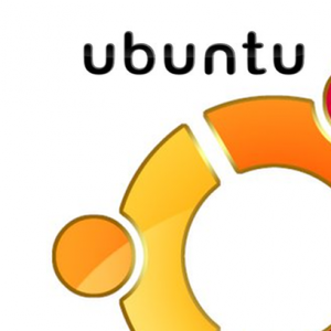 Ubuntu Disk 2.png