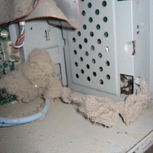 computer-dust.jpg