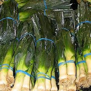 200px-Leeks_produce-1.jpg