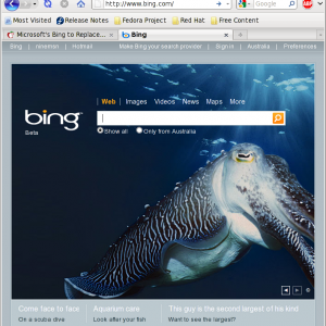 Screenshot-Bing - Mozilla Firefox.png