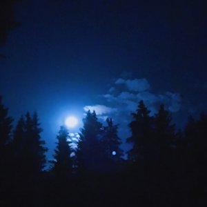 2018-05-29 23.04.49.jpg