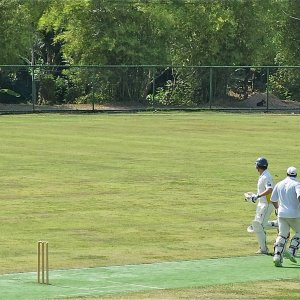 Paddy's catch - 28 Feb '16 - 2.jpg