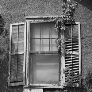 CARRIAGE HOUSE 2BW1024.jpg