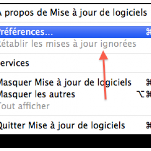 Capture décran 2010-07-13 à 15.55.36.png