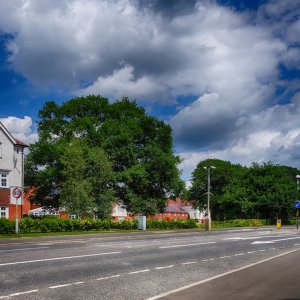 Suberbia in Summer cloned copy.jpg