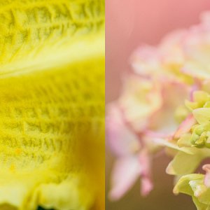 FB_June_17_2018_001 copy.jpg