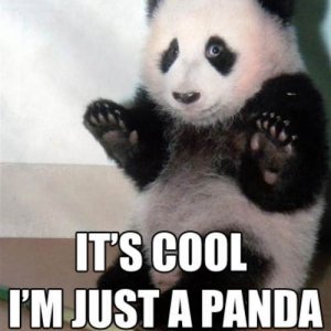 its-cool-im-just-a-panda-4607-1266081857-9.jpg