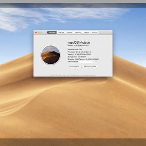 AMD Mac mini 2018-06-27 at 1.49.32 PM.jpg