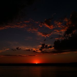 IMG_1161.jpg