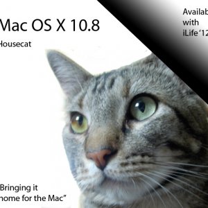 macoshousecat.jpg