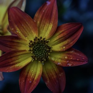 0FDD6070-70DC-4503-9FF3-7E746936F805.jpeg